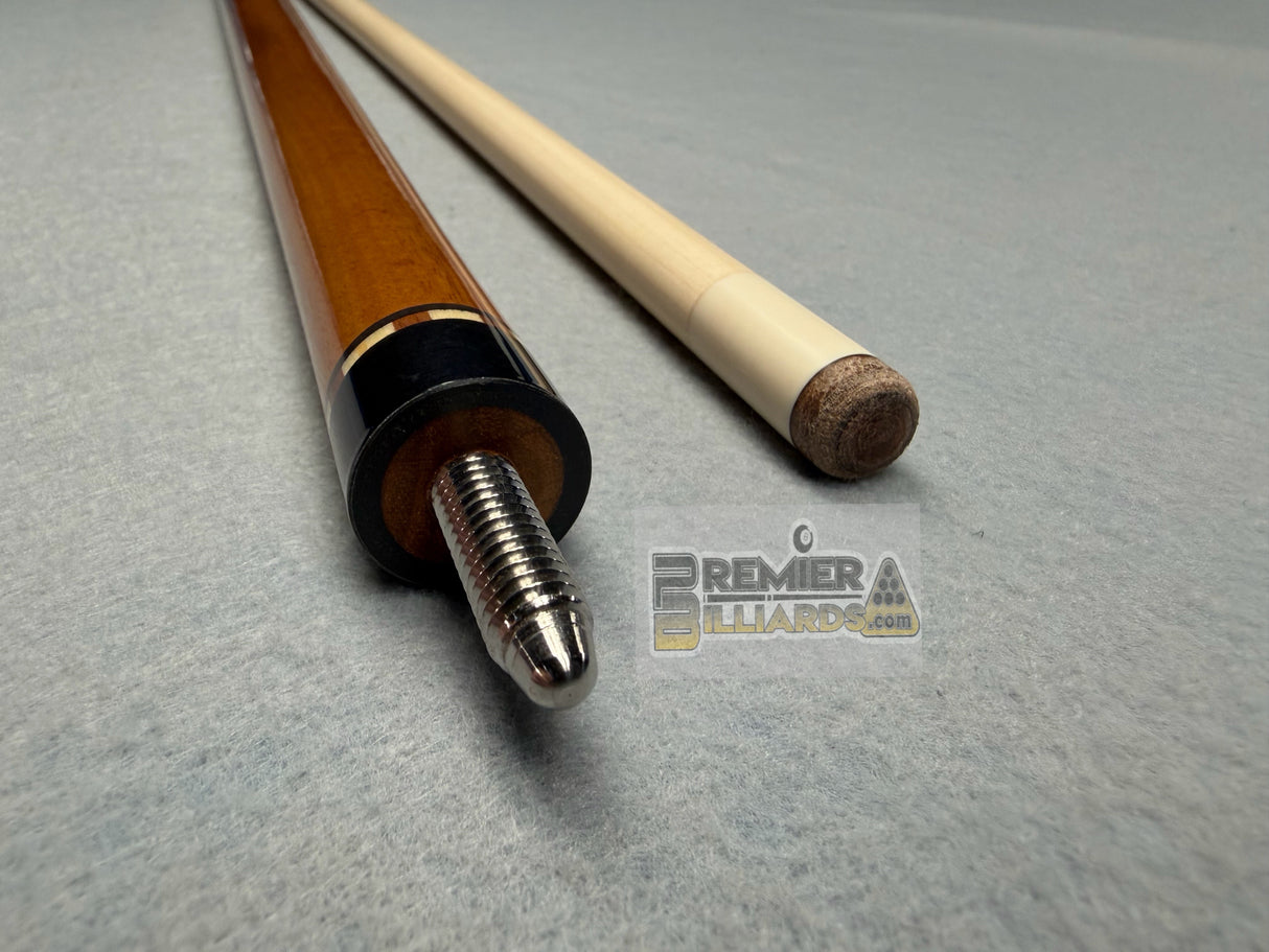 Schmelke CL Goncolo Alves Cue